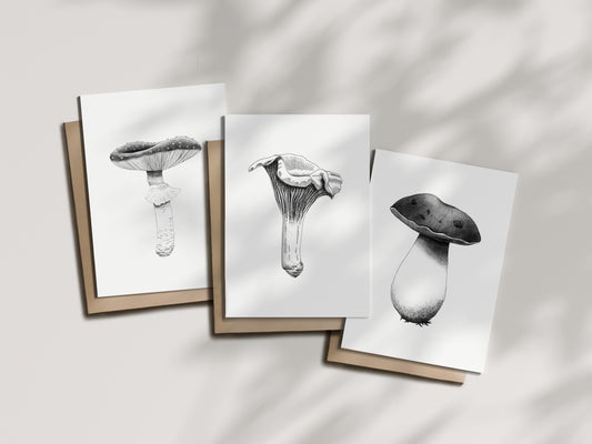 Blank 4x6 Greeting Cards