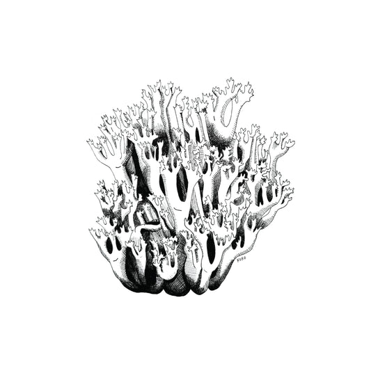 8 x 10 Coral Mushroom Print