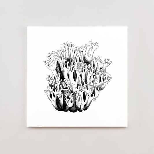 8 x 10 Coral Mushroom Print