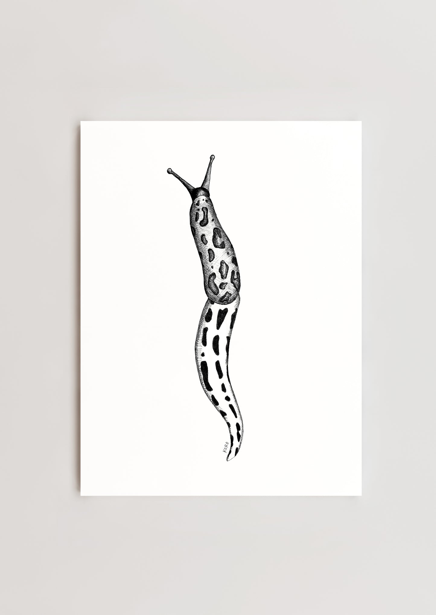 8 x 10 Leopard Slug Print