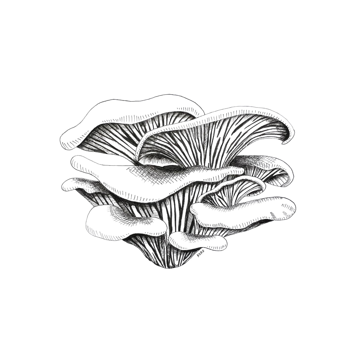 8 x 10 Oyster Mushroom Print
