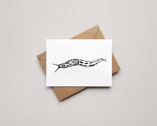 Blank 4x6 Greeting Cards