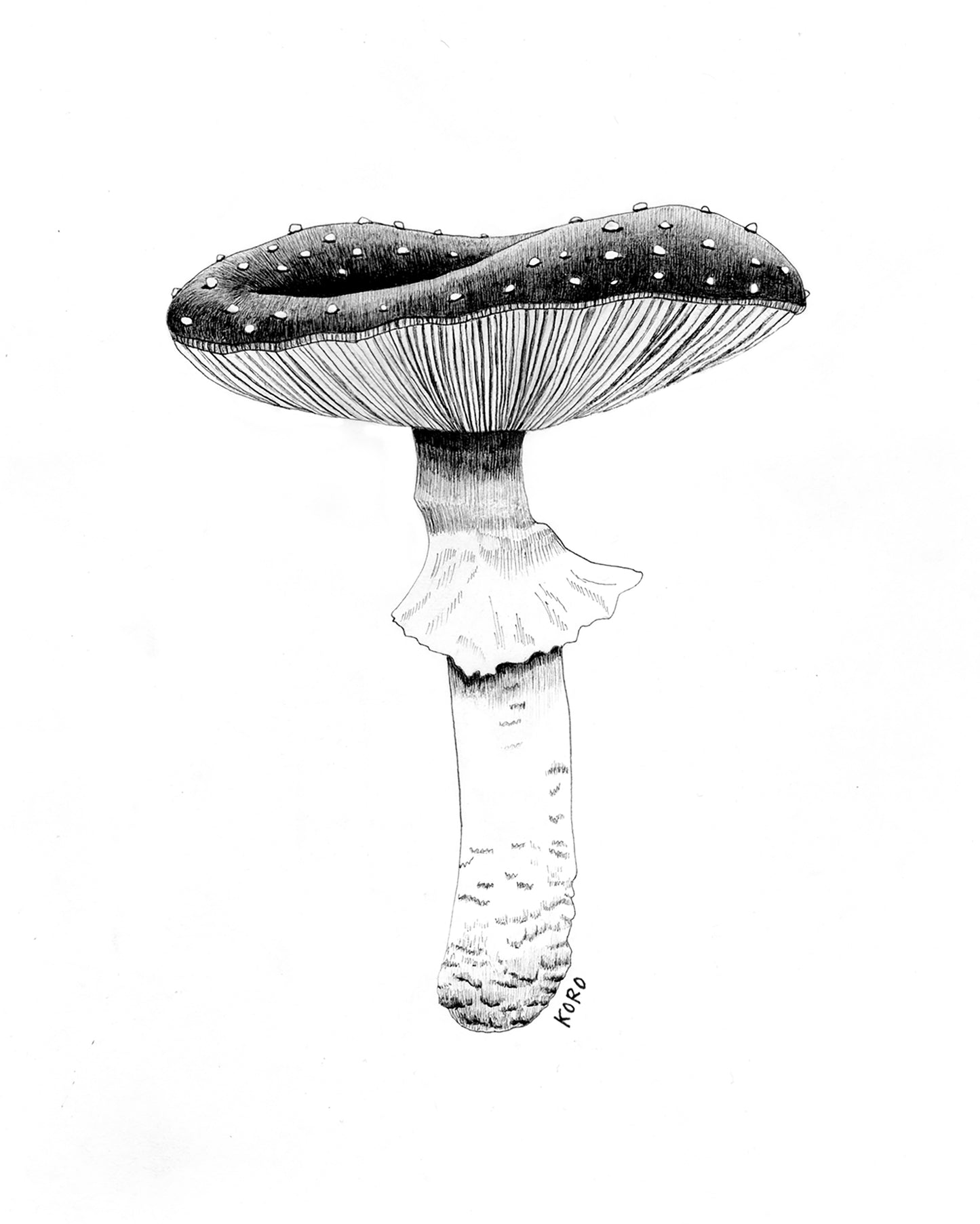 8 x 10 Fly Agaric Mushroom Print
