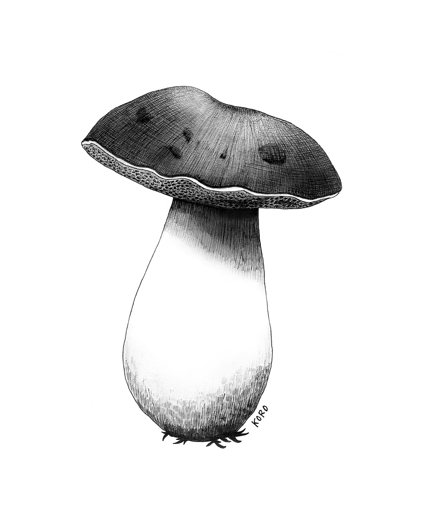 8 x 10 Bolete Mushroom Print