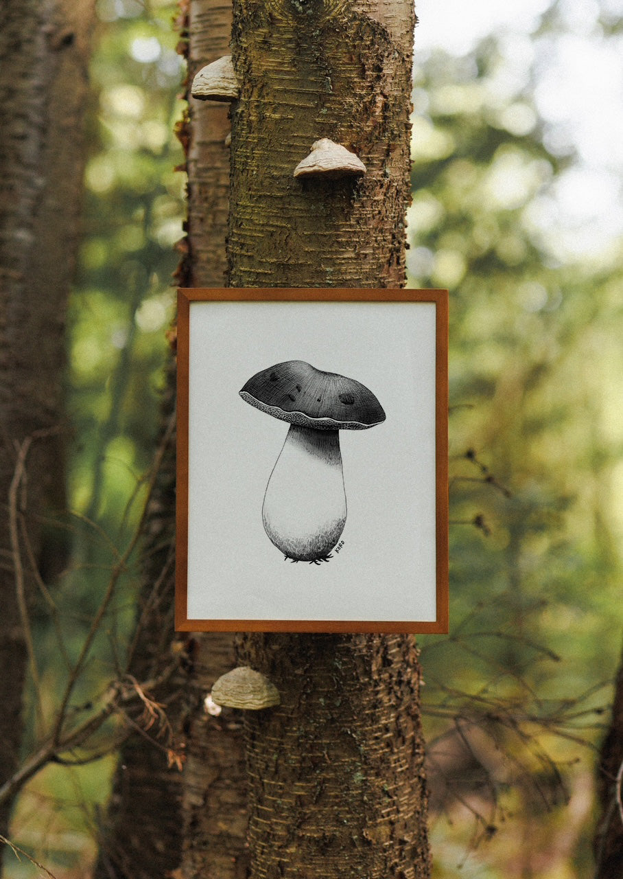 8 x 10 Bolete Mushroom Print
