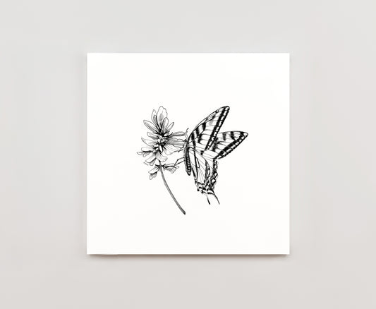 8 x 8 Sweetvetch and Butterfly Print