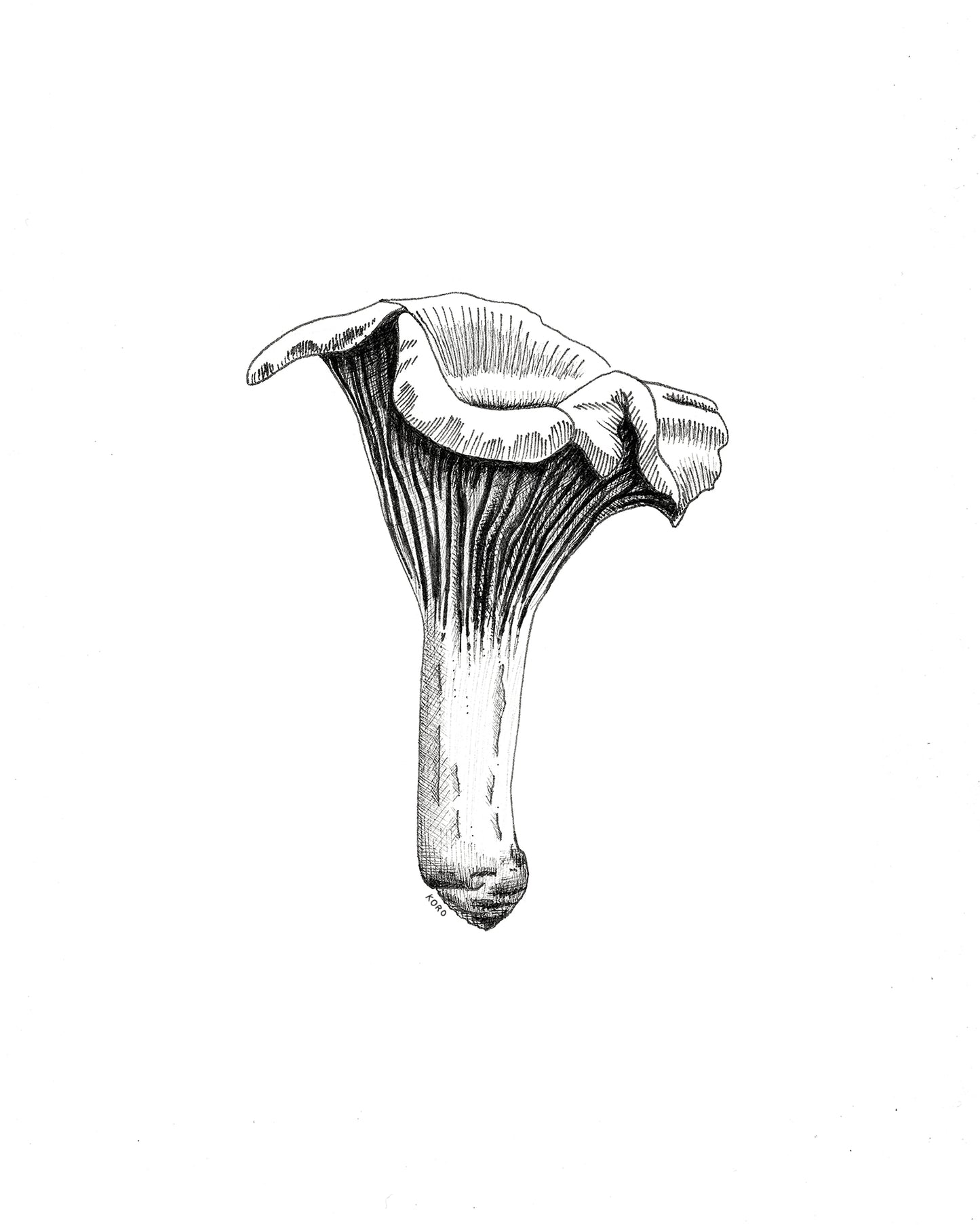 8 x 10 Chanterelle Mushroom Print