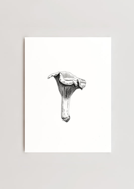 8 x 10 Chanterelle Mushroom Print