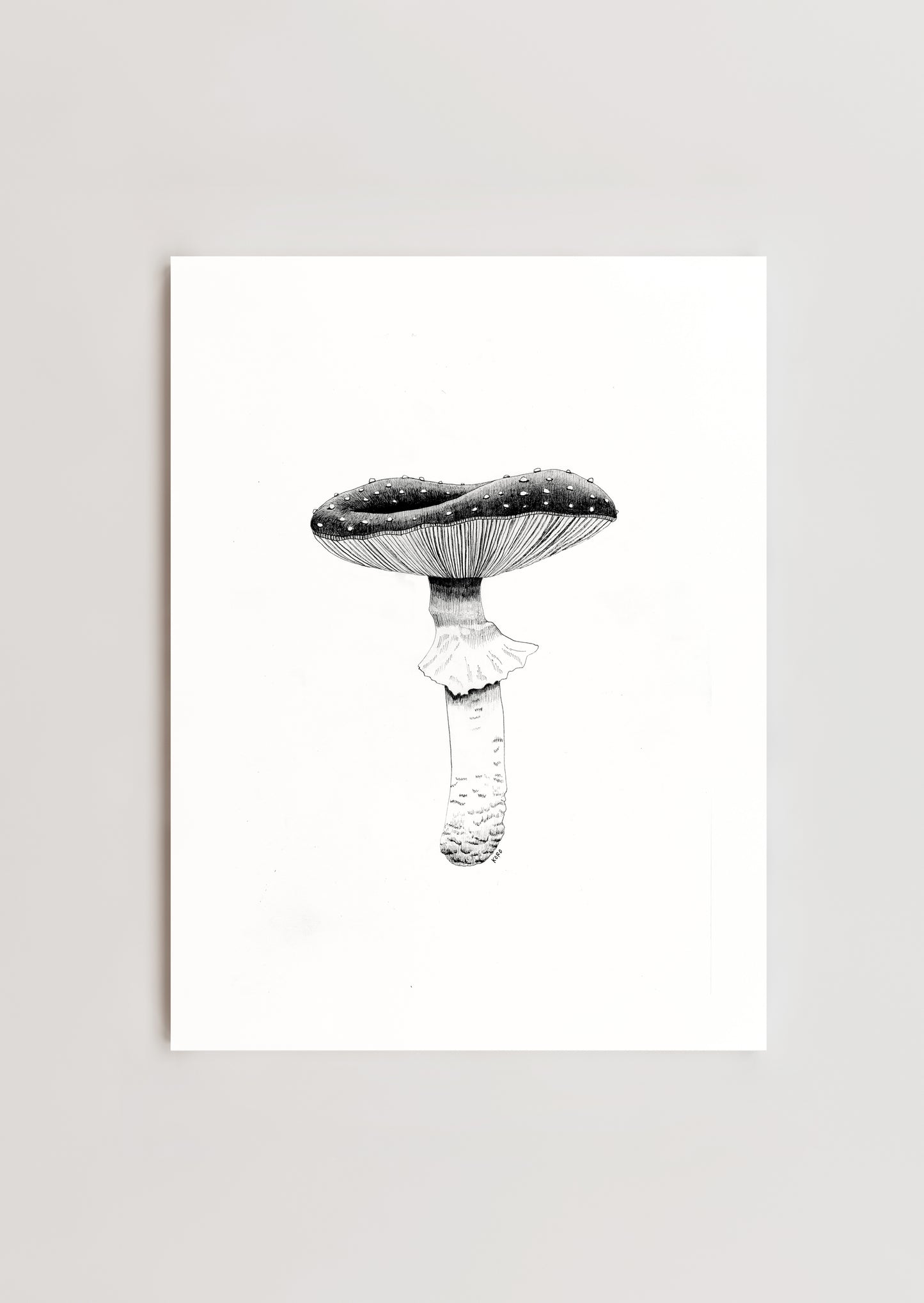 8 x 10 Fly Agaric Mushroom Print