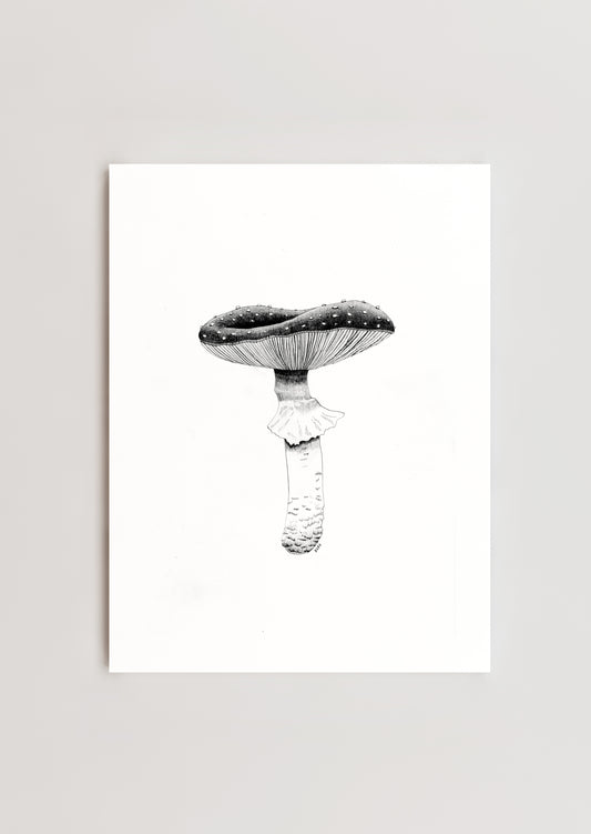 8 x 10 Fly Agaric Mushroom Print