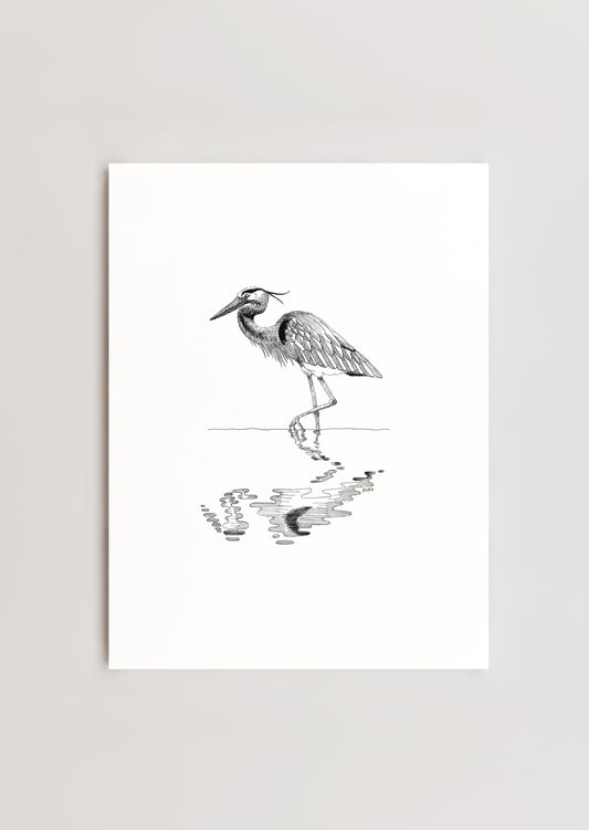 8x 10 Great Blue Heron Print