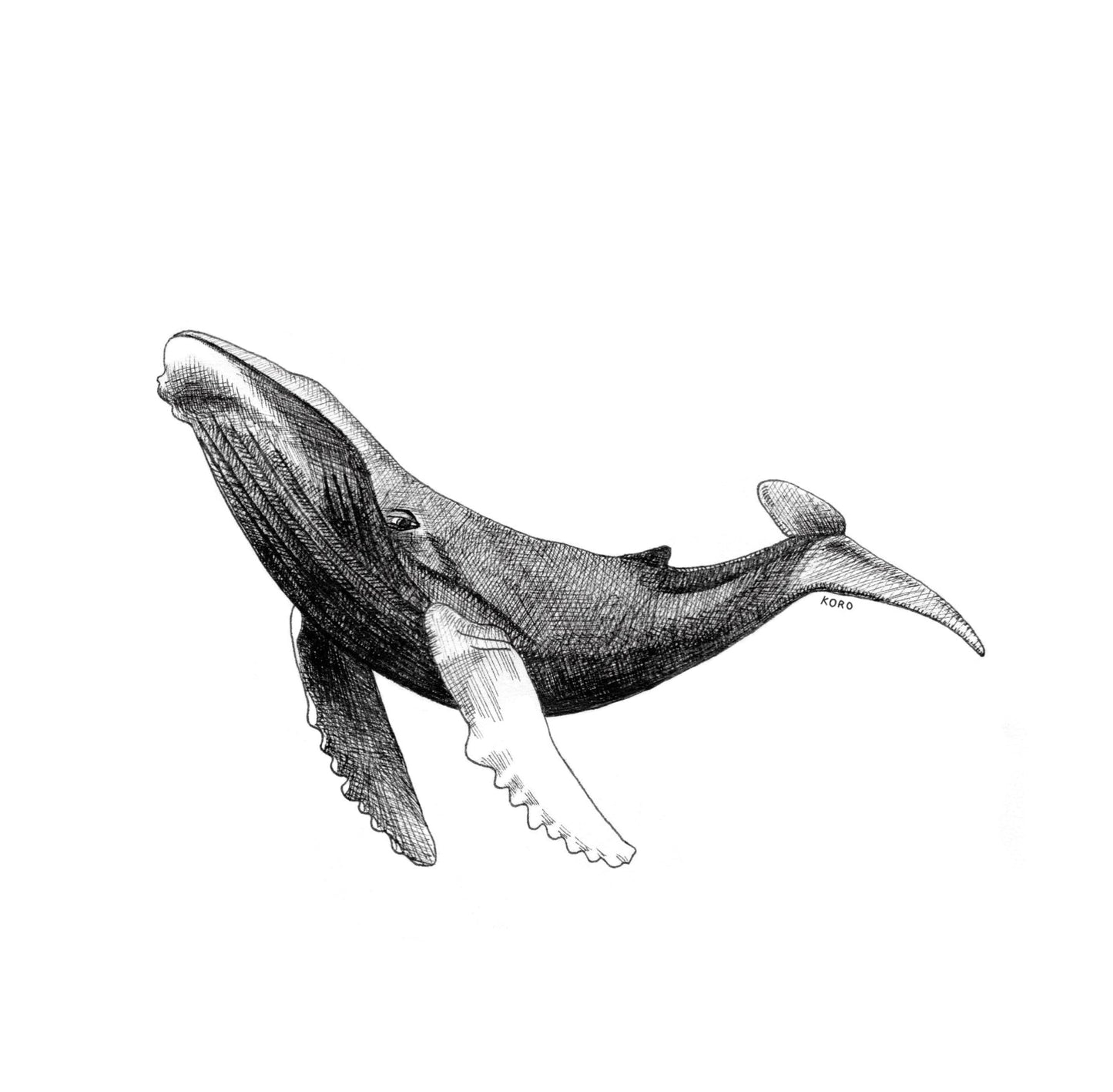 8 x 8 Humpback Whale Print