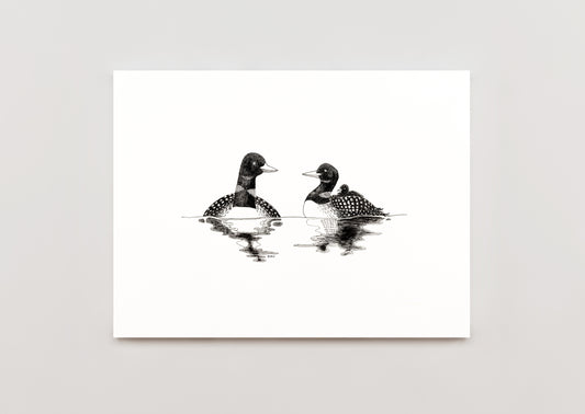 8 x 10 Loons and their Loonlet Print