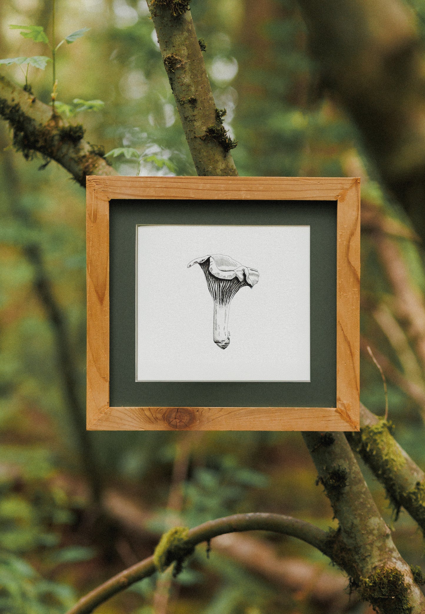 8 x 10 Chanterelle Mushroom Print