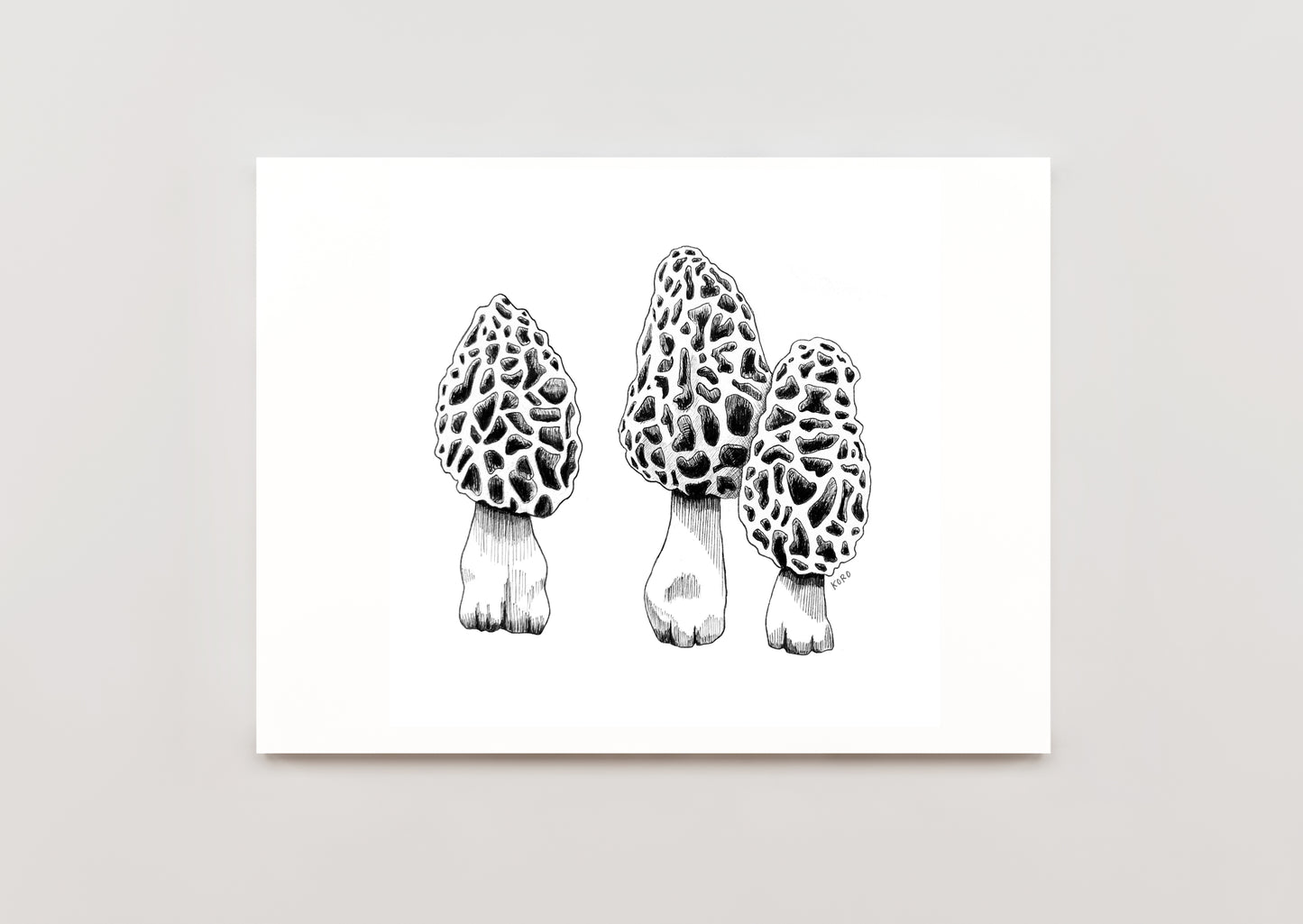 8 x 10 Morel Mushroom Print
