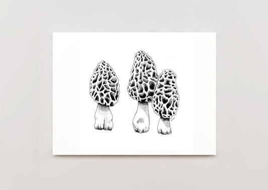 8 x 10 Morel Mushroom Print