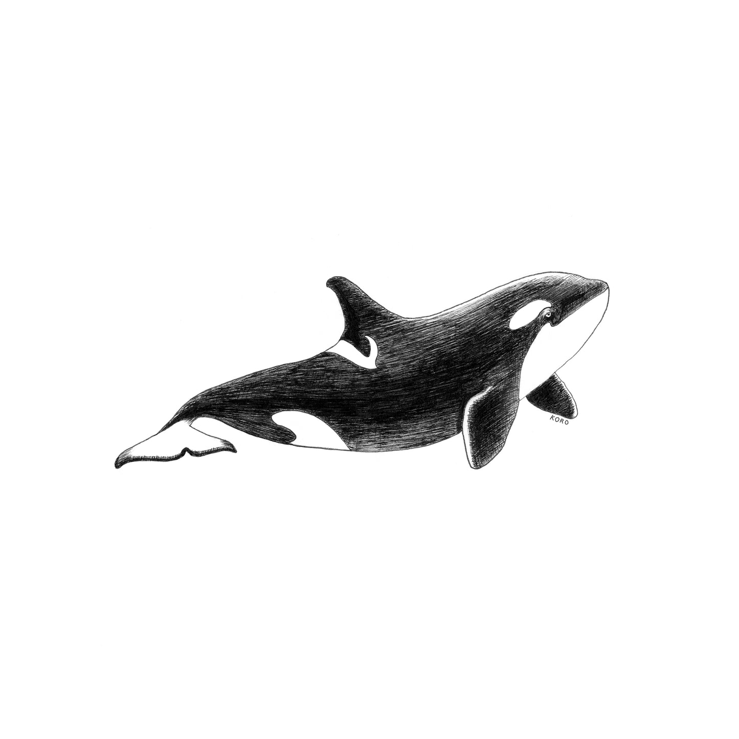 8 x 8 Orca Print