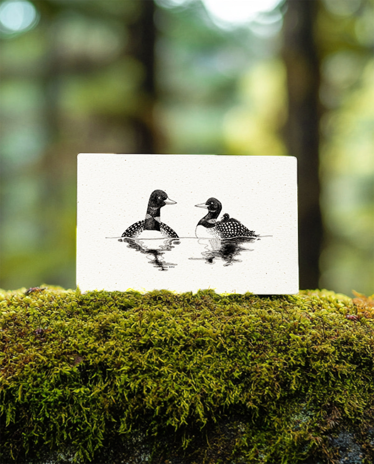 02 Greeting Cards