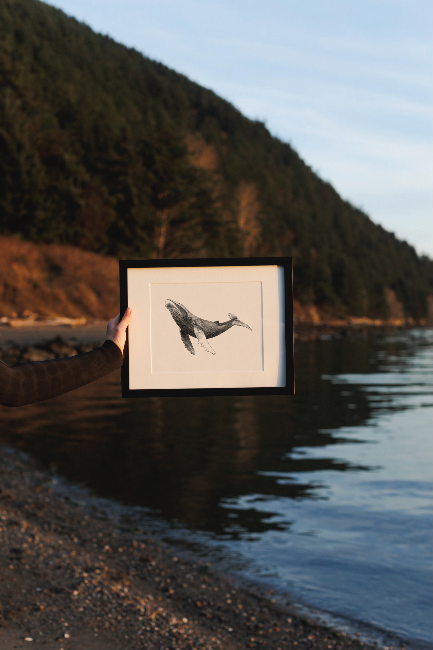 Prints