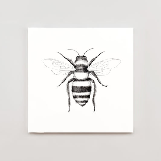 8 x 8 Bumblebee Print