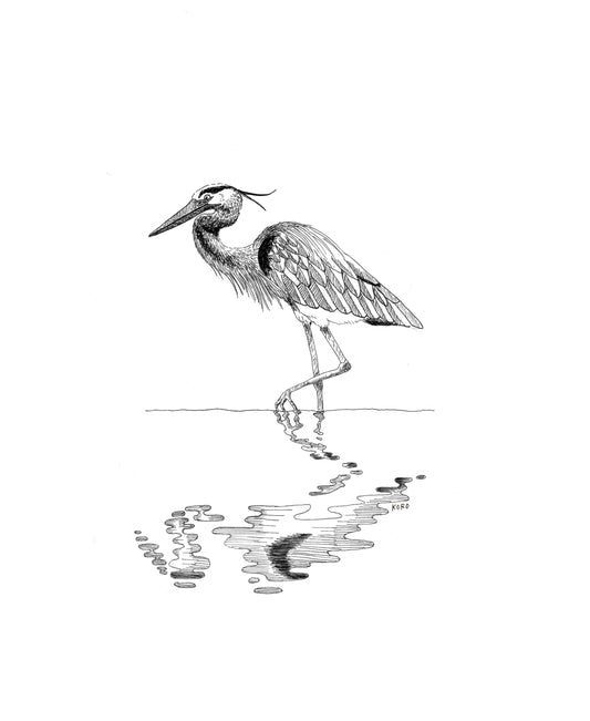 Great Blue Heron Print