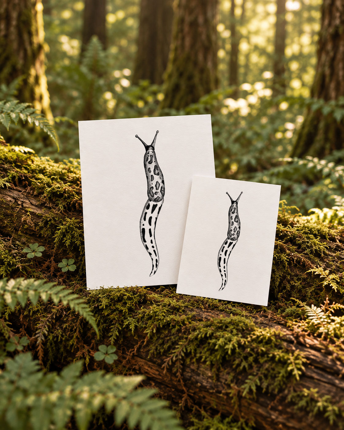 5x7 Mini-Archival Prints