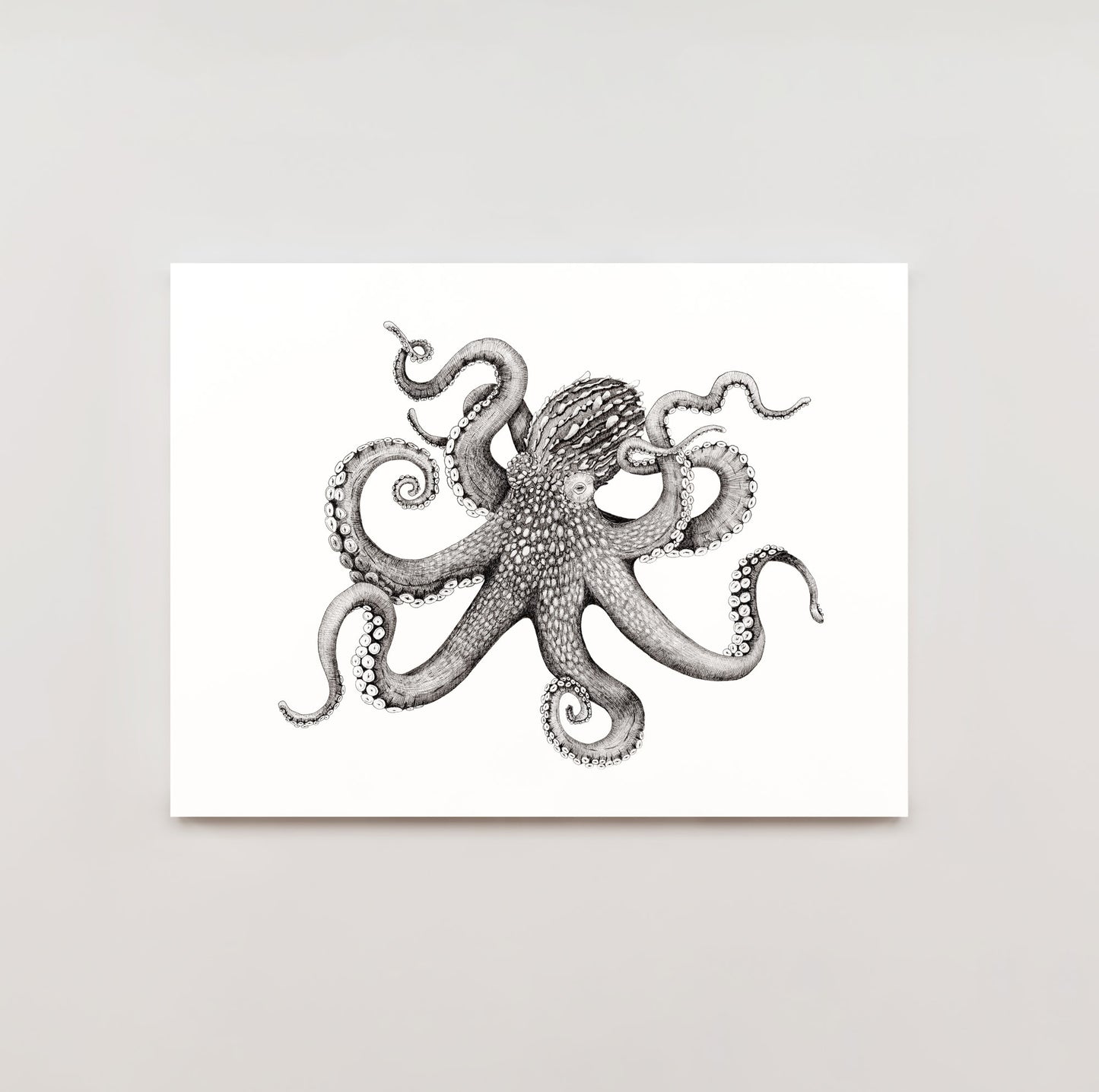 Archival Prints
