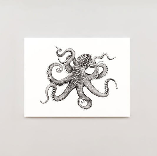 Archival Prints