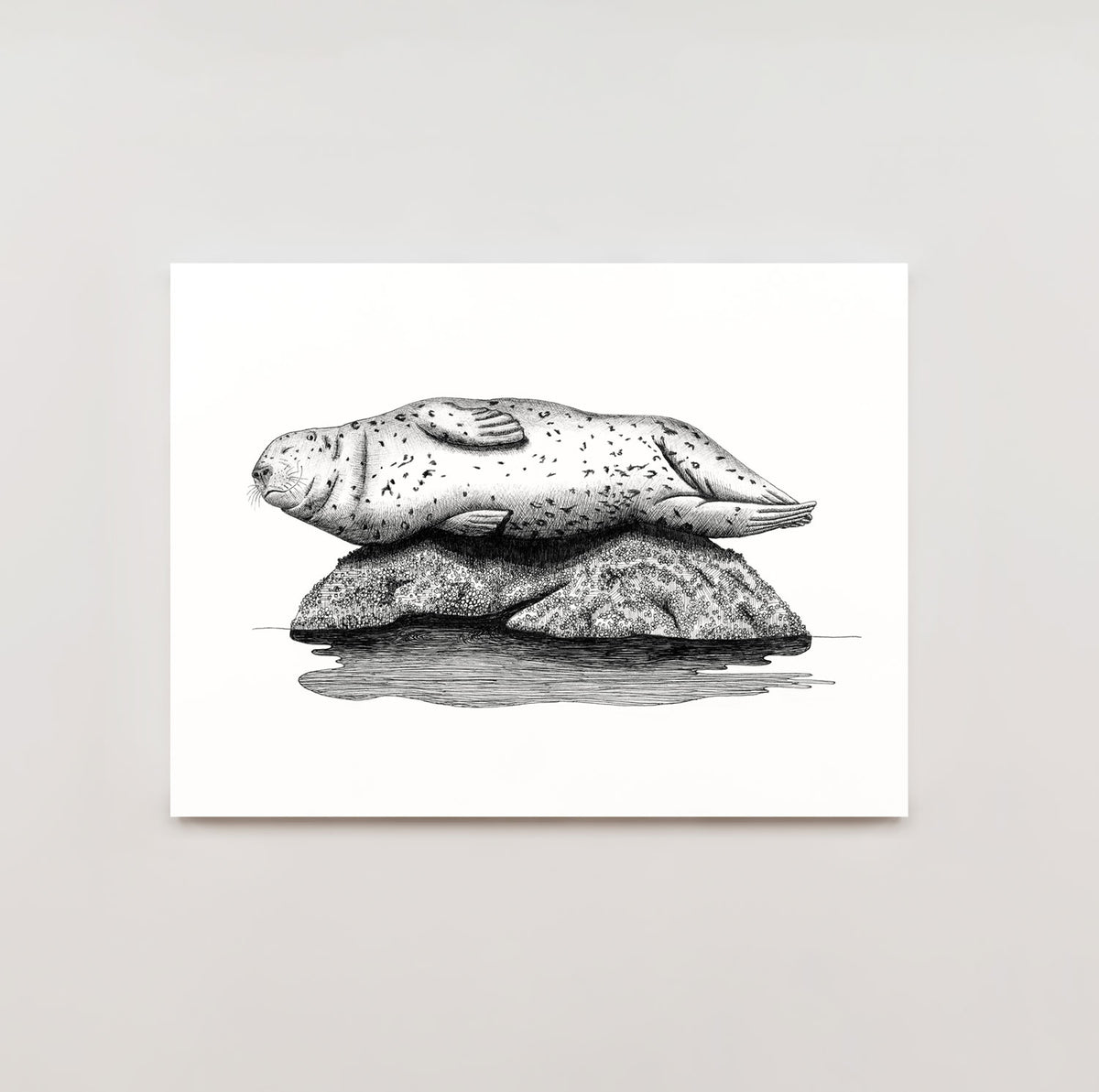 8x10 Archival Prints