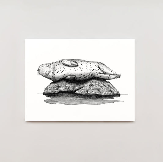 8x10 Archival Prints