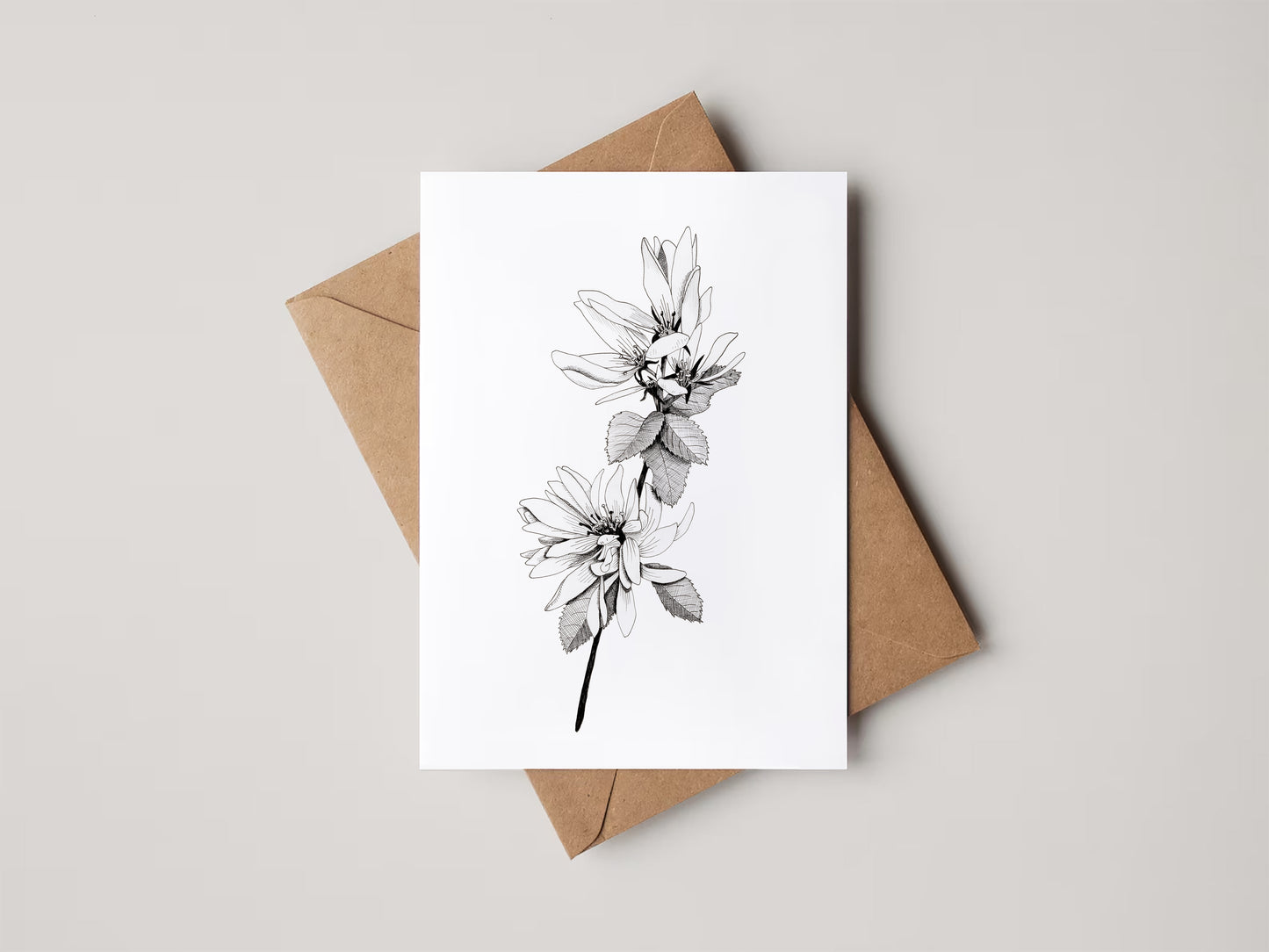 Blank 4x6 Cards