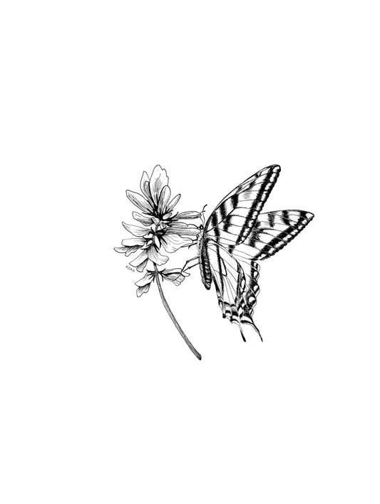 Sweetvetch and Butterfly Print