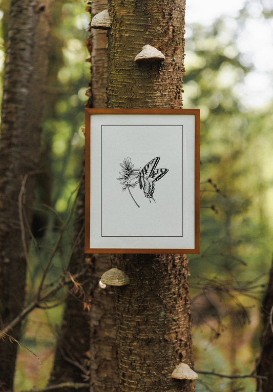 Sweetvetch and Butterfly Print
