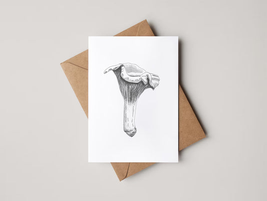 Blank 4x6 Greeting Cards at Bow Sanctuary