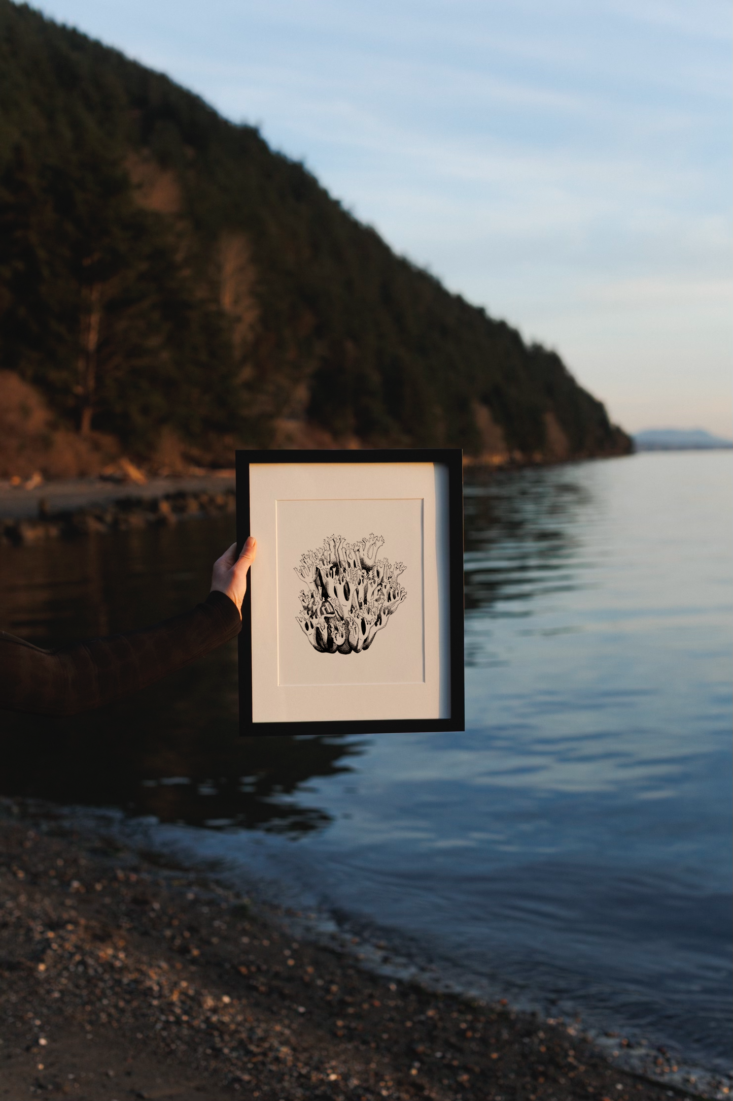 Framed Archival Prints