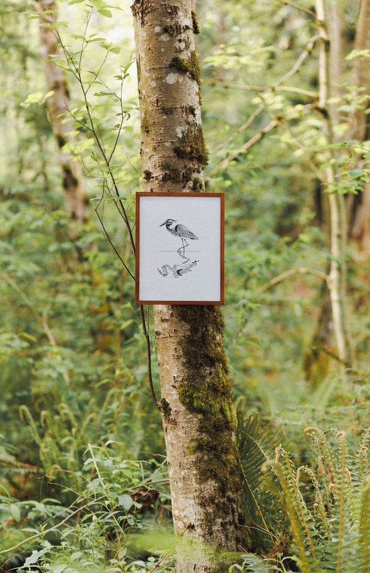 Great Blue Heron Print