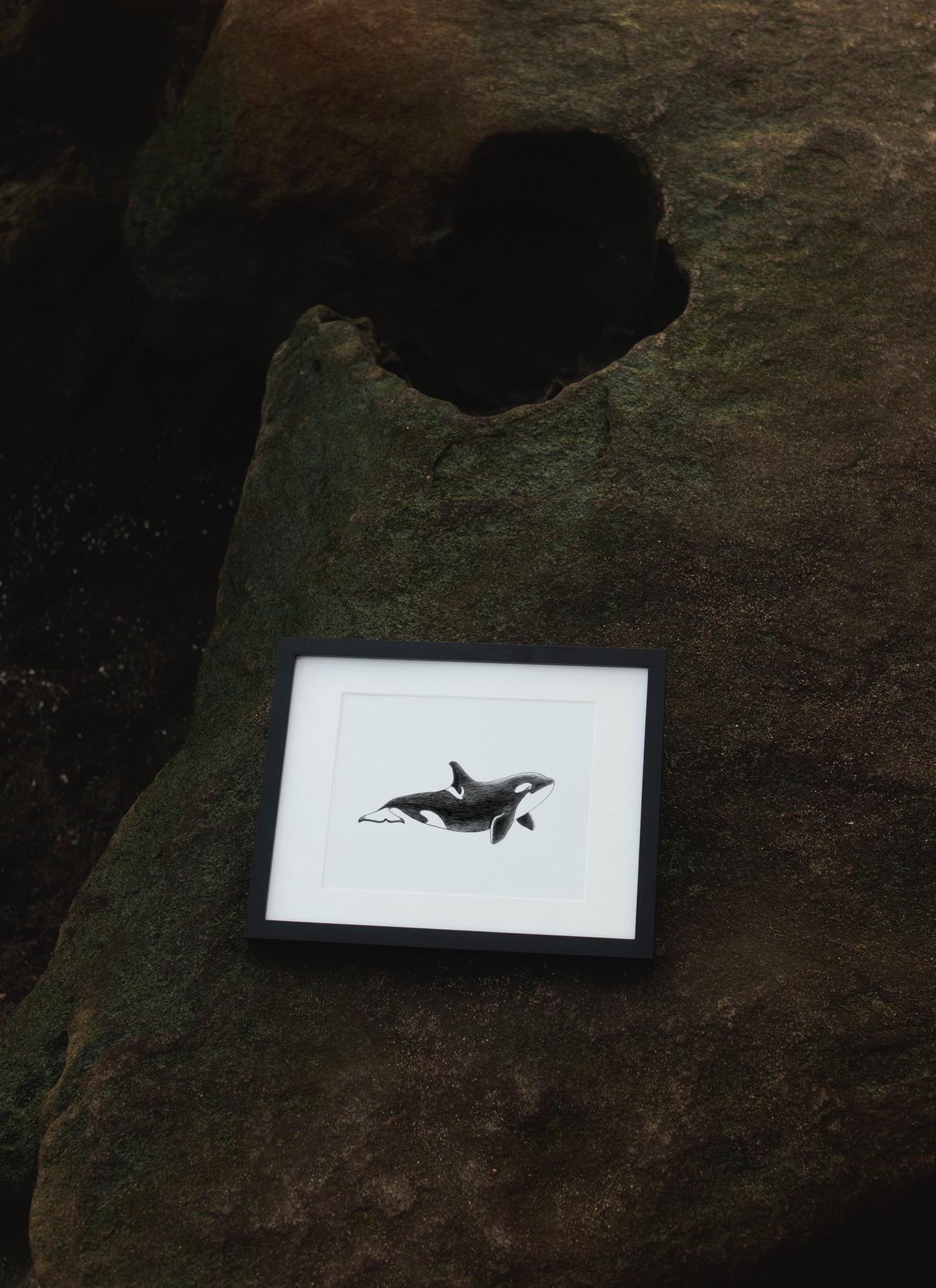 Framed Archival Prints