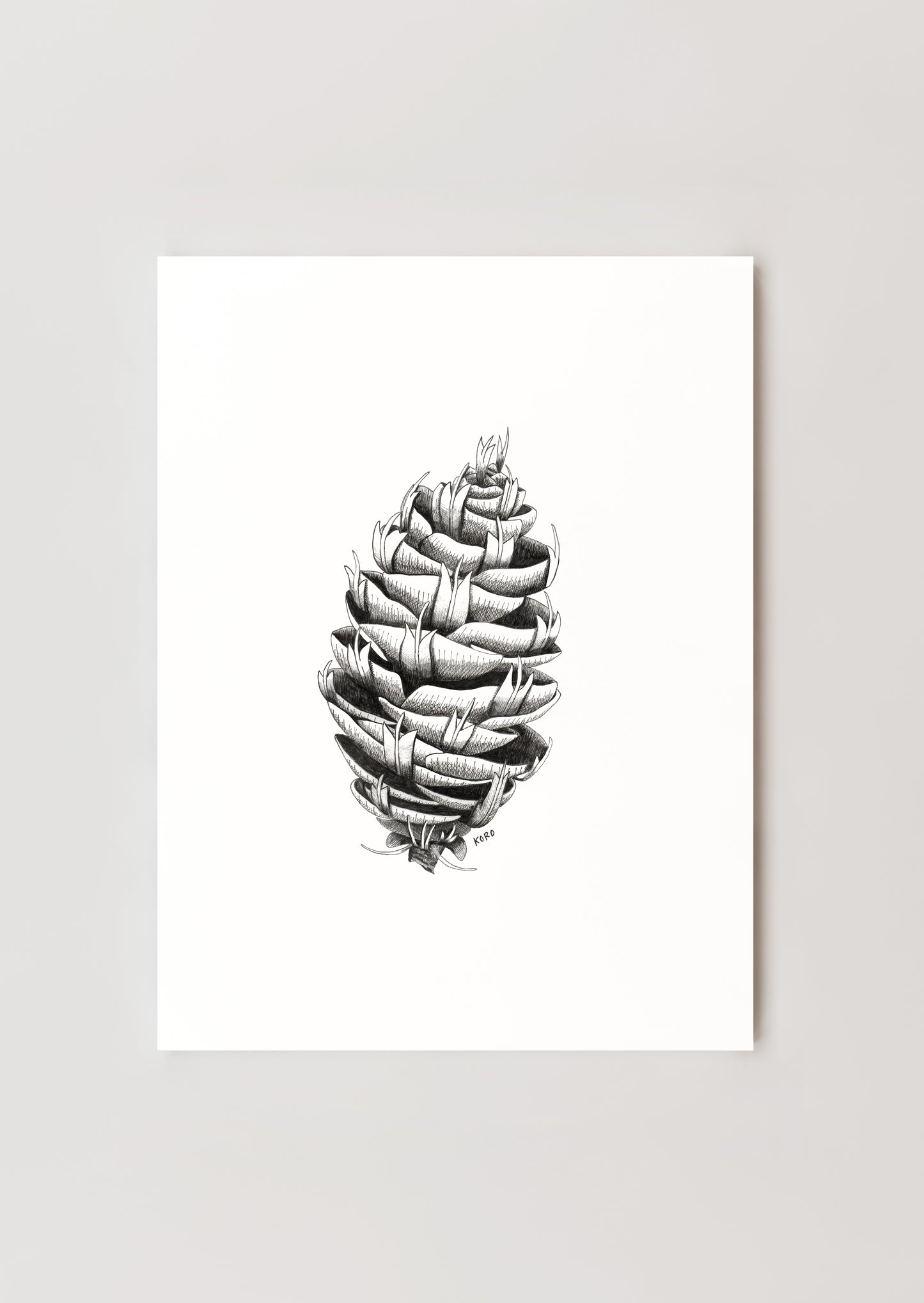 8 x 10 Douglas Fir Pinecone Print