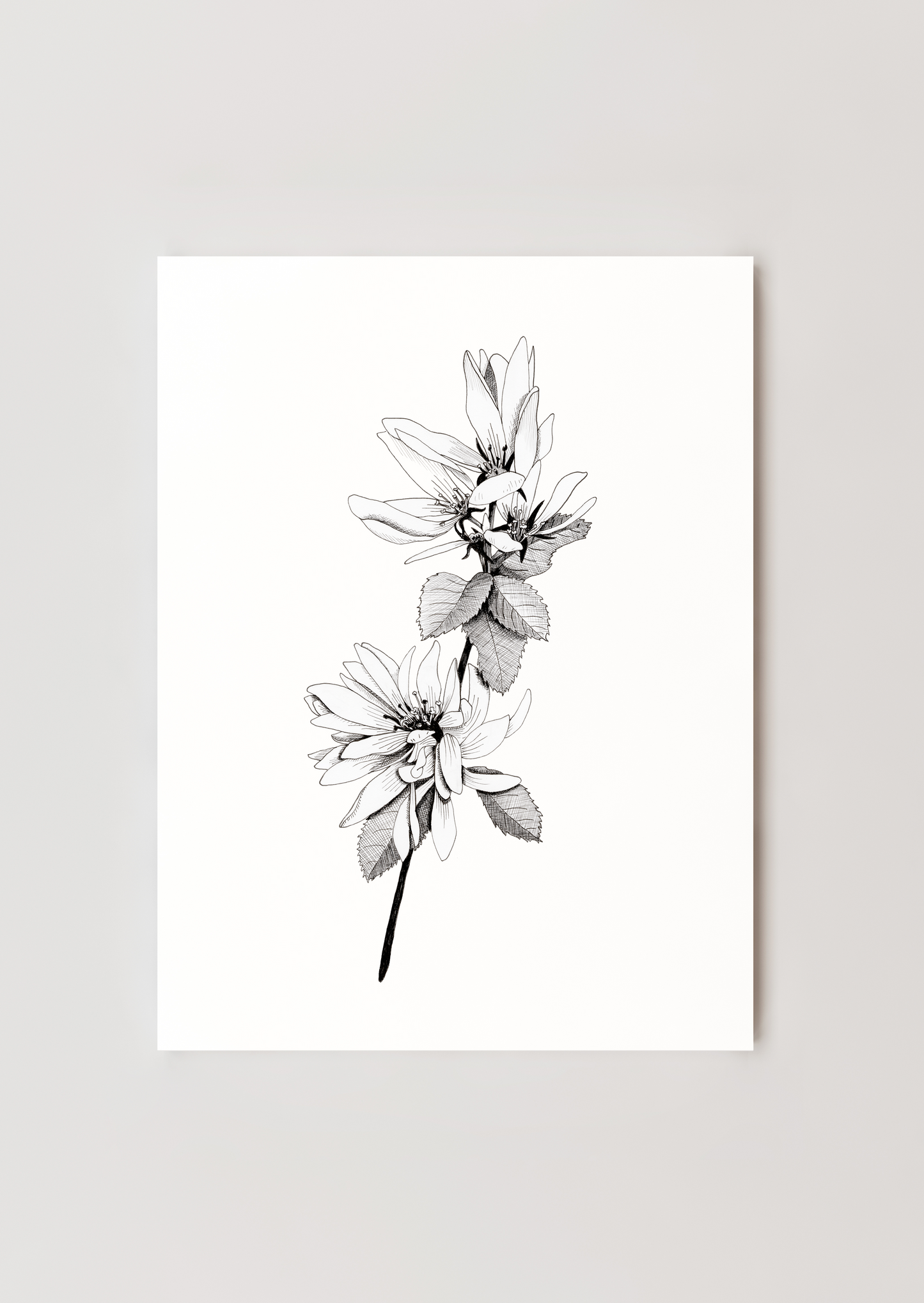 Archival Prints
