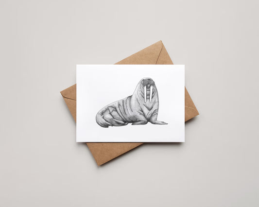 Blank 4x6 Greeting Card